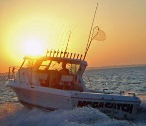 captain park CHARTER FISHING