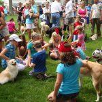 pooch parade