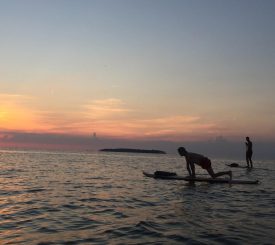 Bay Paddleboarding